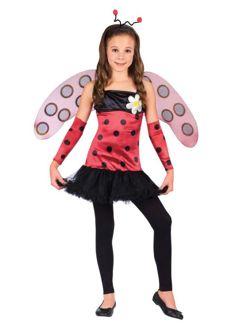 Lovely Ladybug