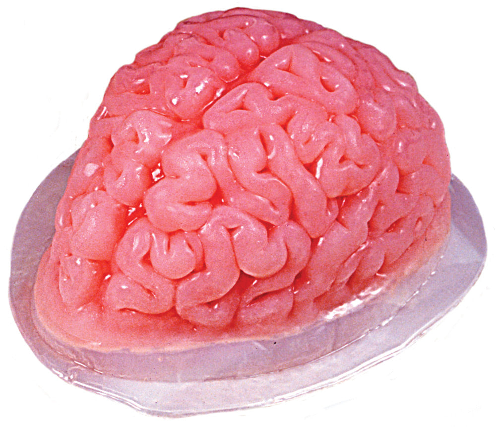 Brain Gelatin Mould