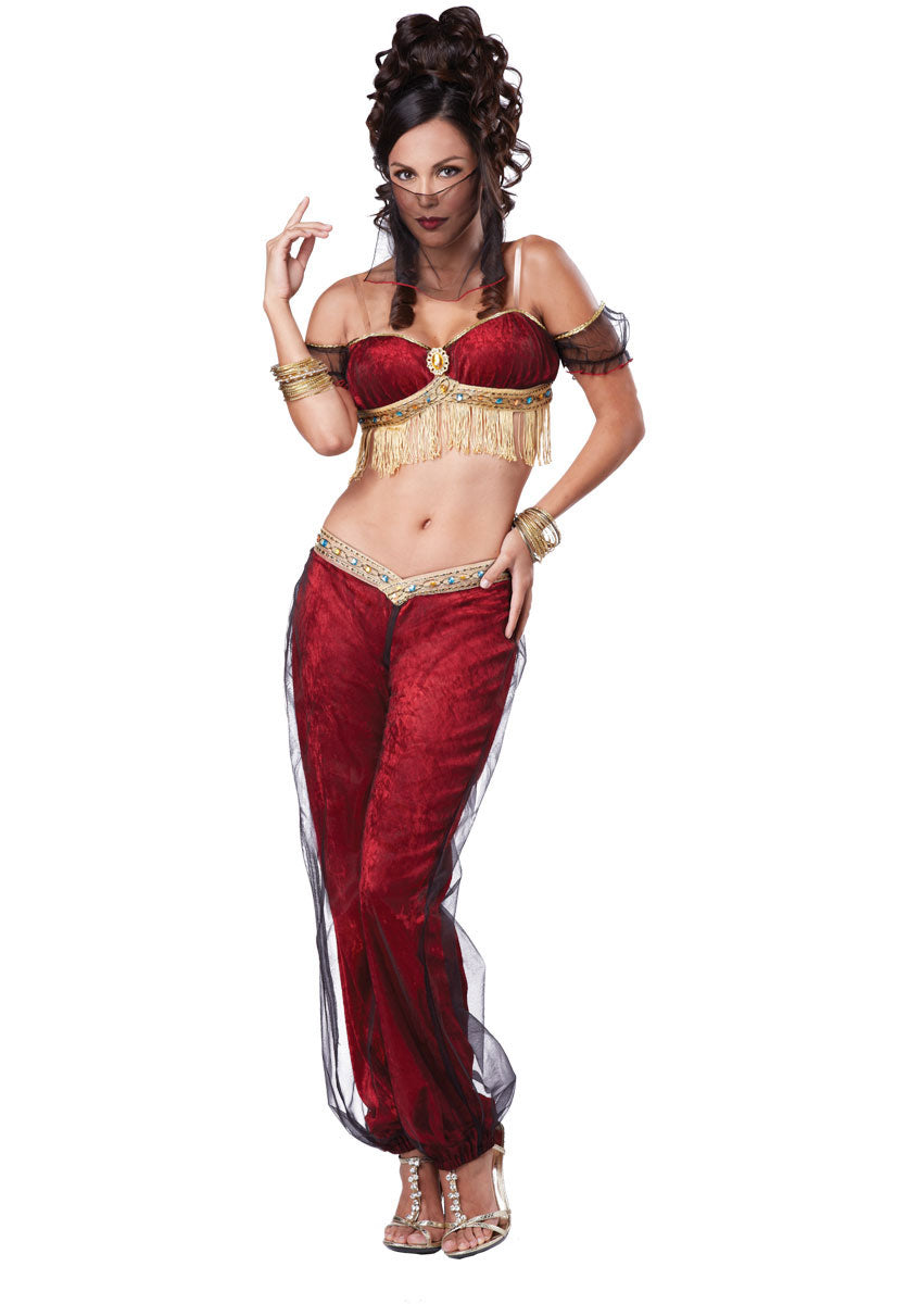 Exotic Dreamy Genie Costume