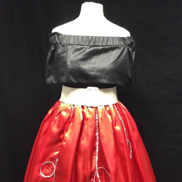 1950s Poodle Skirt Gal (HIRE ONLY)