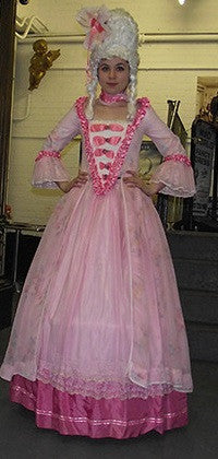 18th Century Dress in Pink