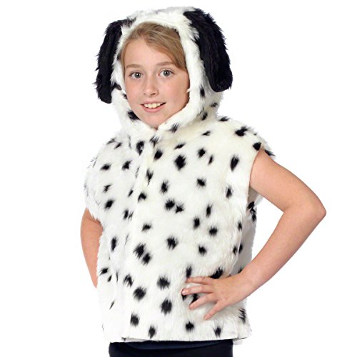 Dalmation