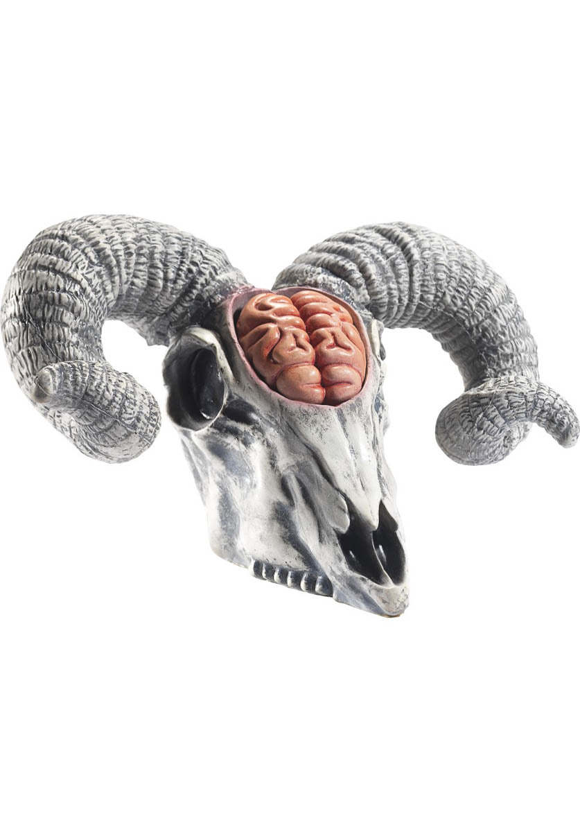 Latex Rams Skull Prop with Exposed Brain, Natural