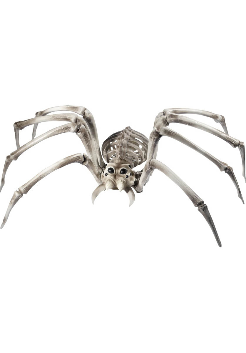 Spider Skeleton Prop, Natural