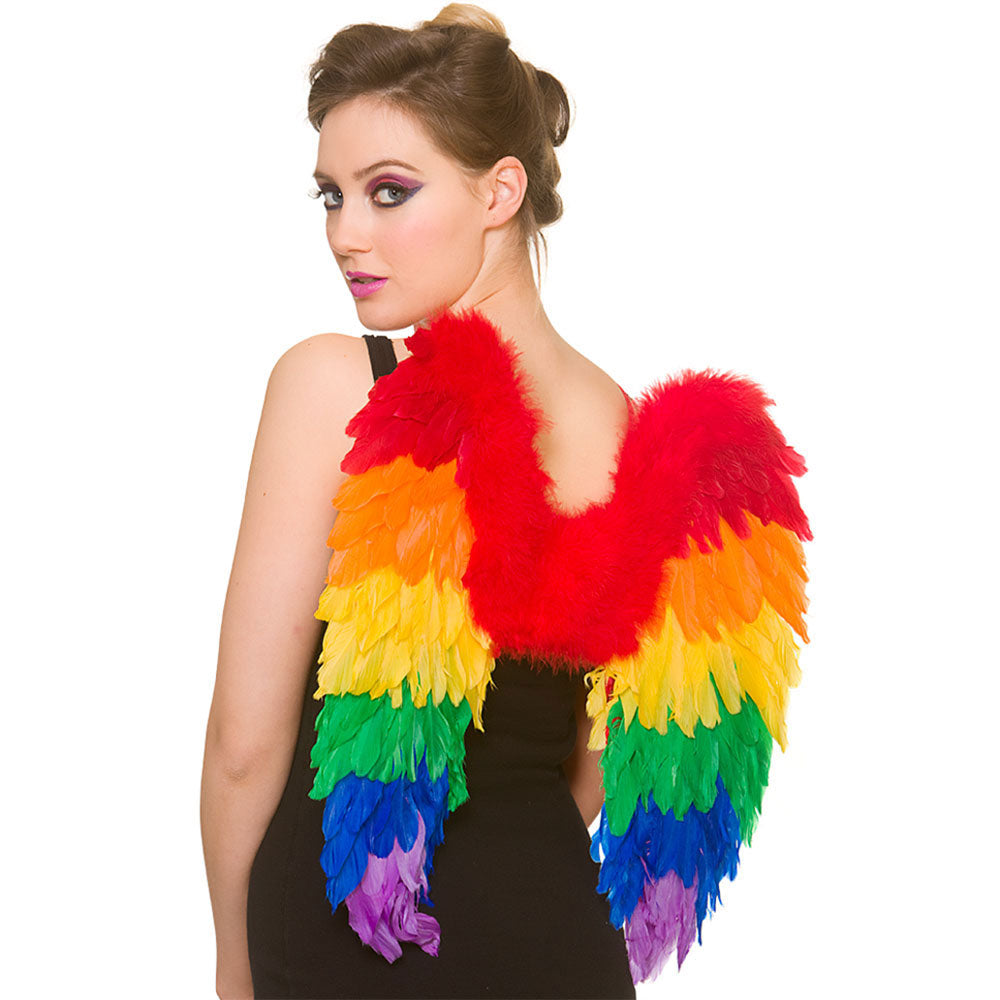 Rainbow Feather Wings 50x50cm (min6)