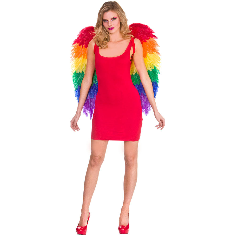 Large Rainbow Feather Wings 75x75cm (min6)