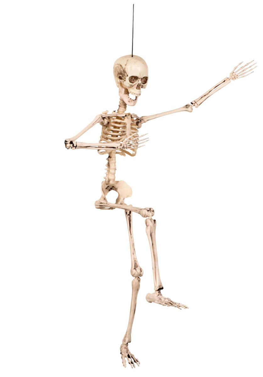 Hanging Movable Skeleton Prop 50cm