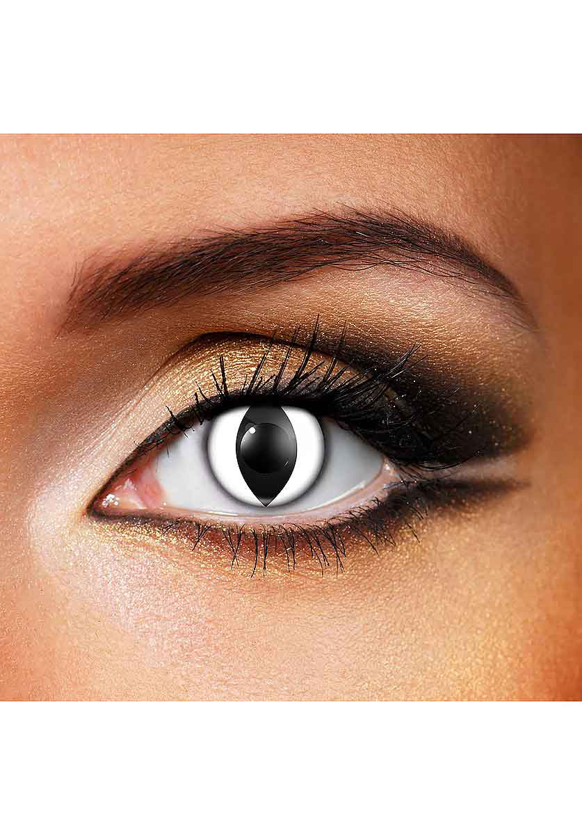 white cat eye eye ass