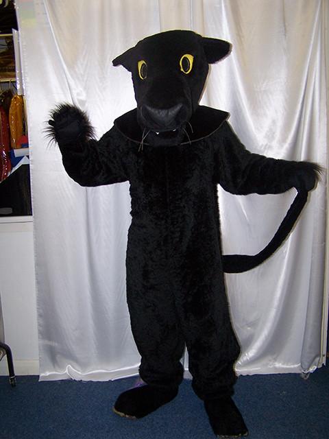 black panther costume (HIRE ONLY)