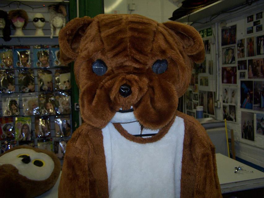 British bulldog outlet fancy dress