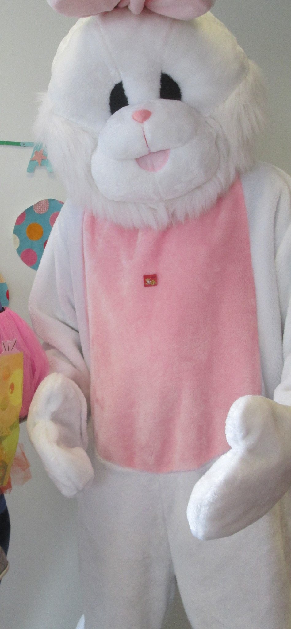Easter Bunny or Rabbit (HIRE ONLY)