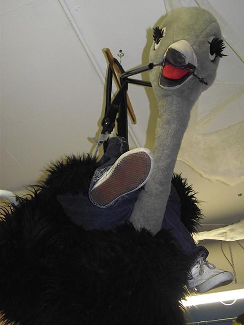 grey ostrich ride costume (£50 HIRE ONLY)