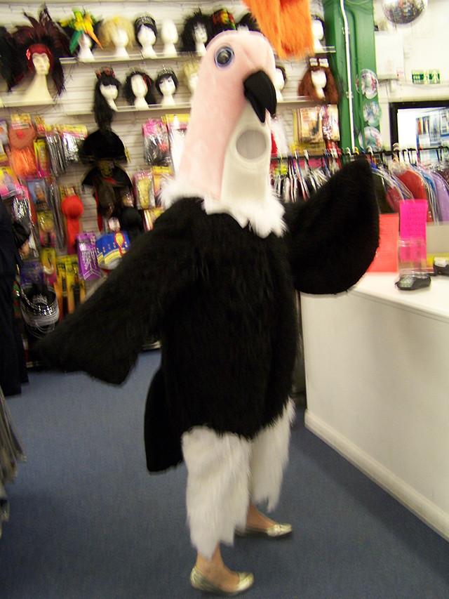 mascot vulture costume (HIRE ONLY)