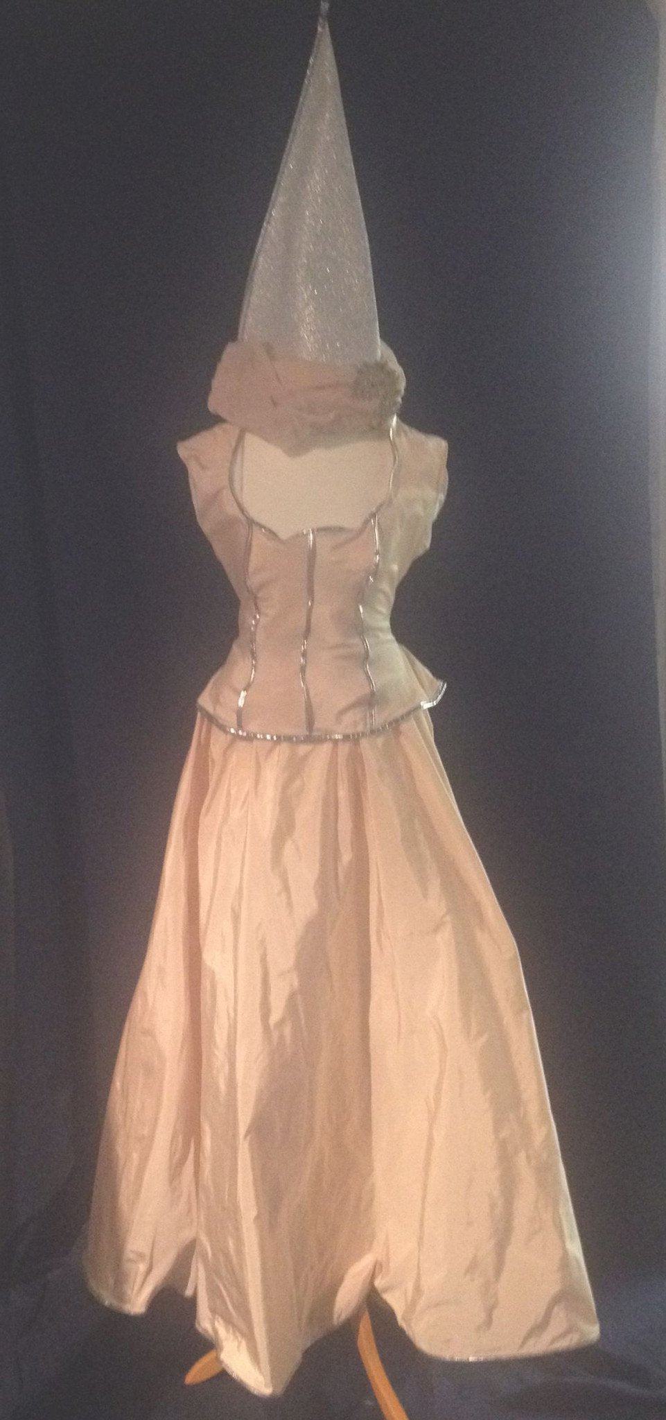 Medieval Princess (£55.00 HIRE ONLY)