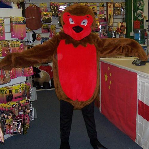 Robin Red Breast (£60 HIRE ONLY)