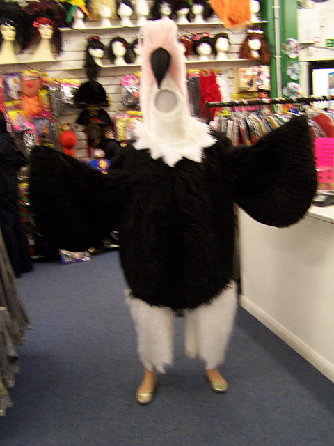 VULTURE-COSTUME-3294.jpg