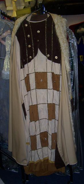 medieval prince robes (HIRE ONLY)