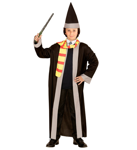 Wizard Harry