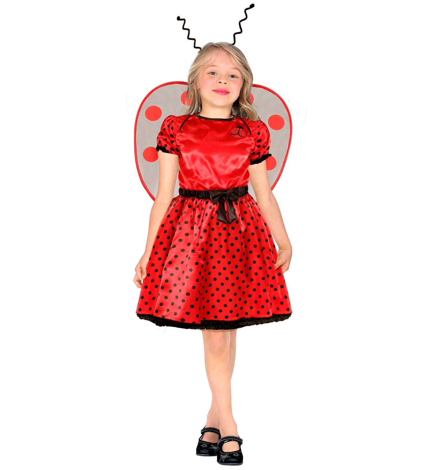 Ladybug