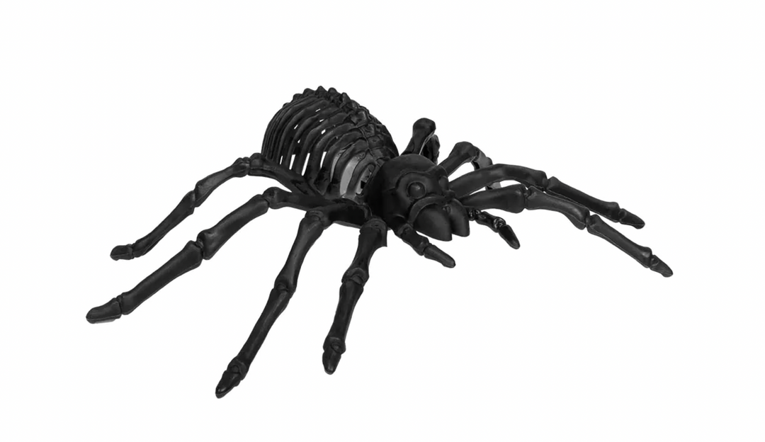 LED spider skeleton black (15 x 22 x 6 cm)