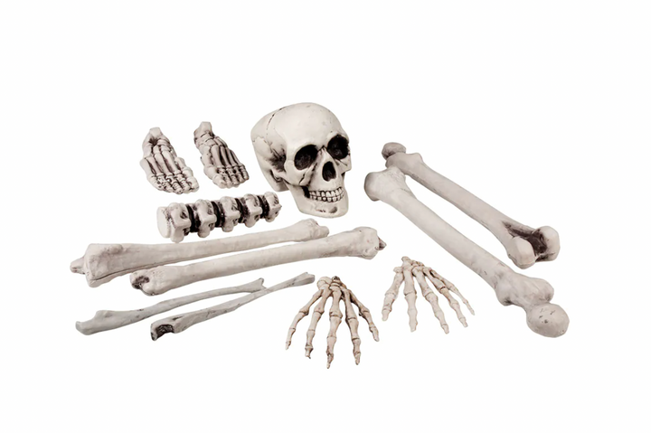 Set of 12 Skull and Bones (25 cm)