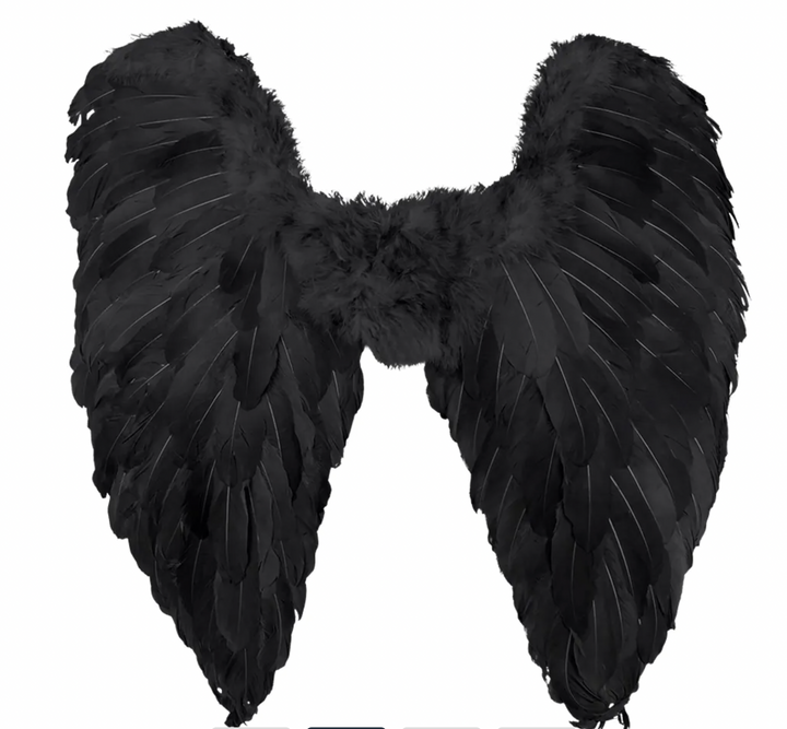 Angel Wings Black (65 x 65 cm)