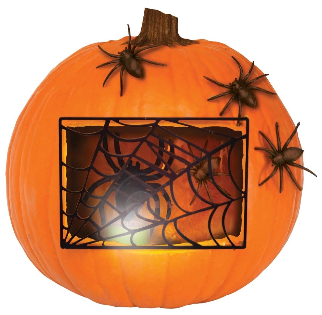 Pumpkin Carving Kit  - Spider Cave