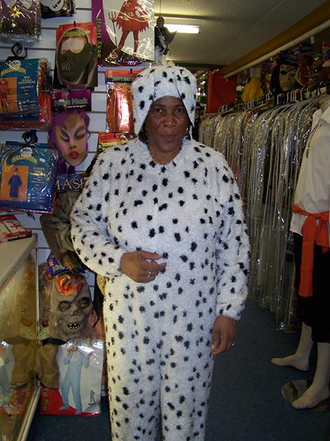 Dalmation Dog (HIRE ONLY)