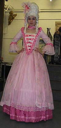 18th Century Dress in Pink(£70.00 HIRE ONLY)