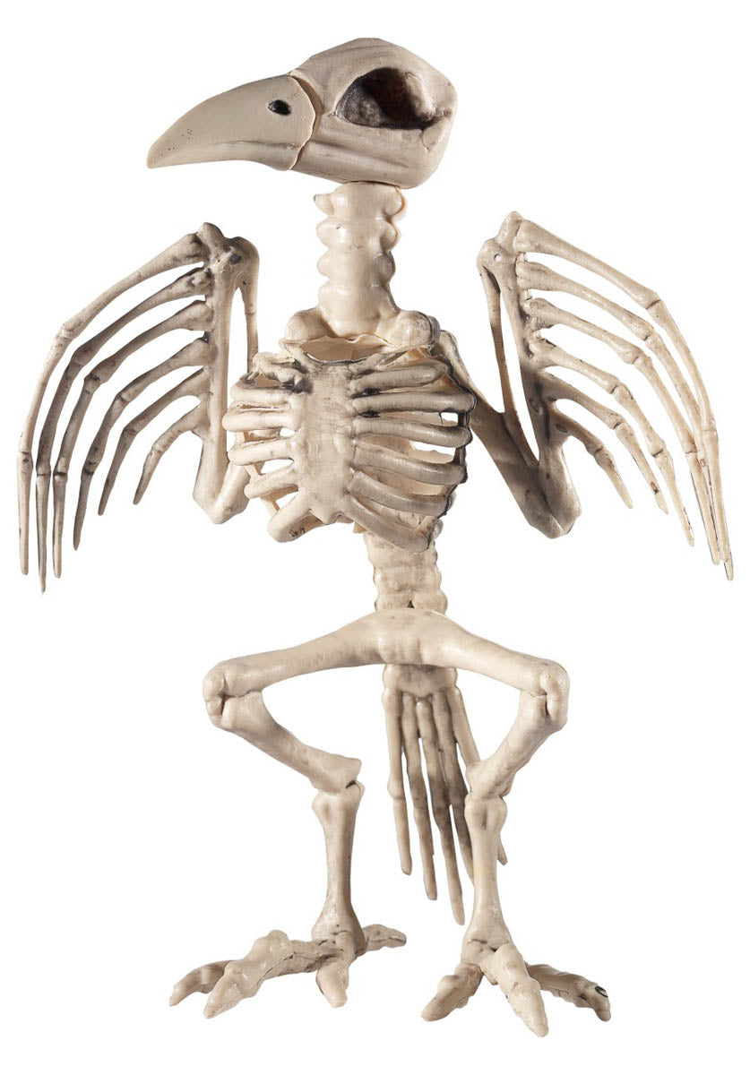 Raven Skeleton Prop, Natural