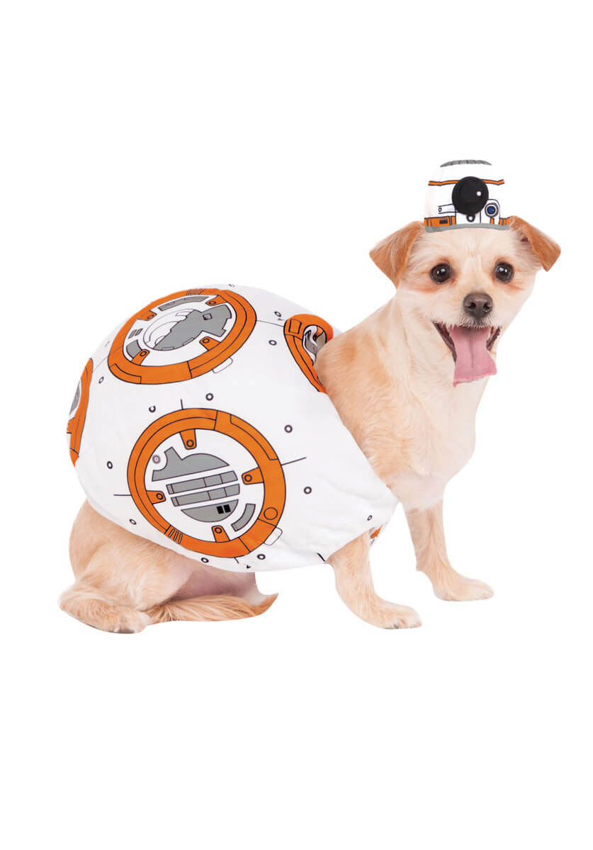 BB-8 for Pets