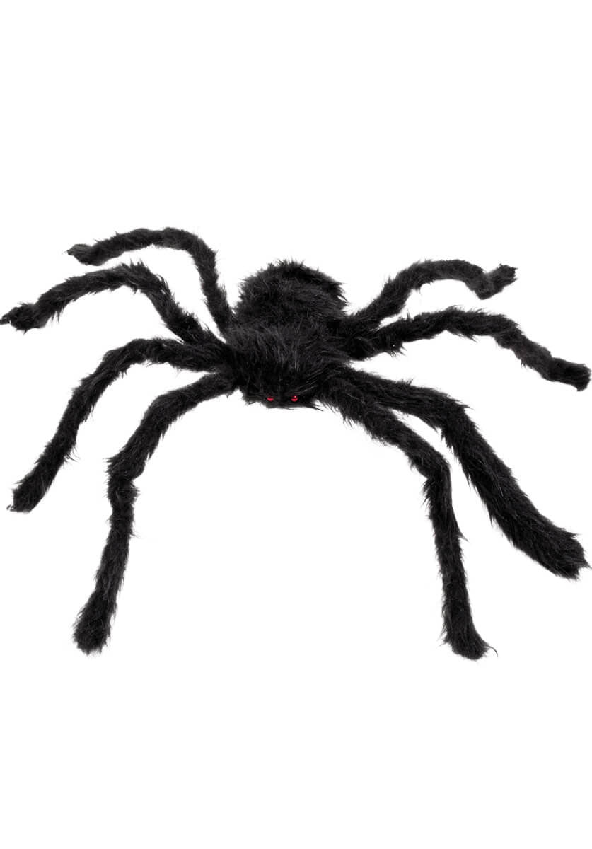 Hairy Spider 50cm x 65cm