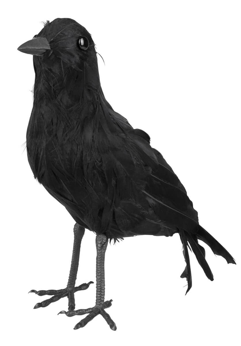 Feathered Crow Halloween Prop