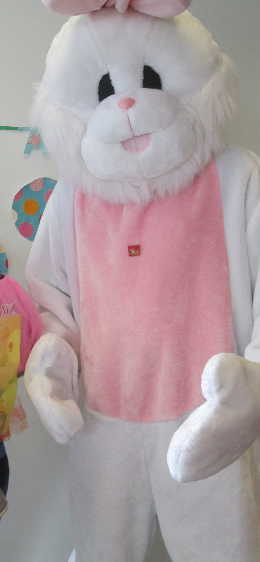 Easter Bunny or Rabbit (£60.00 HIRE ONLY)