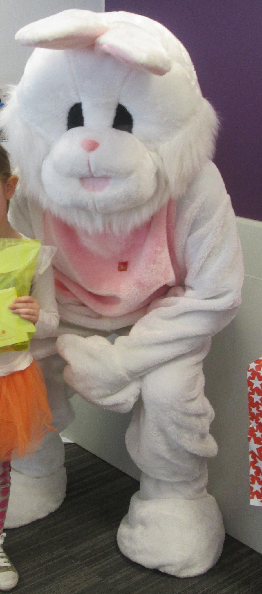 Easter Bunny or Rabbit
