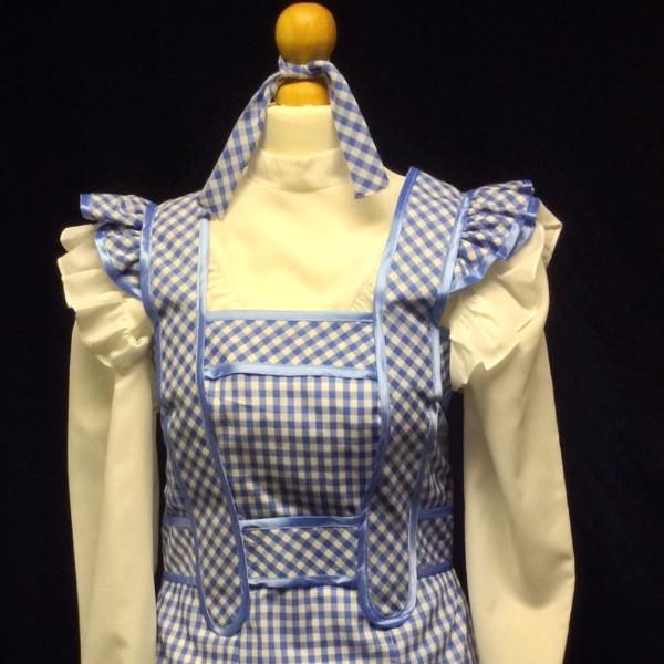 Dorothy Wizard of Oz (£50.00 HIRE ONLY)