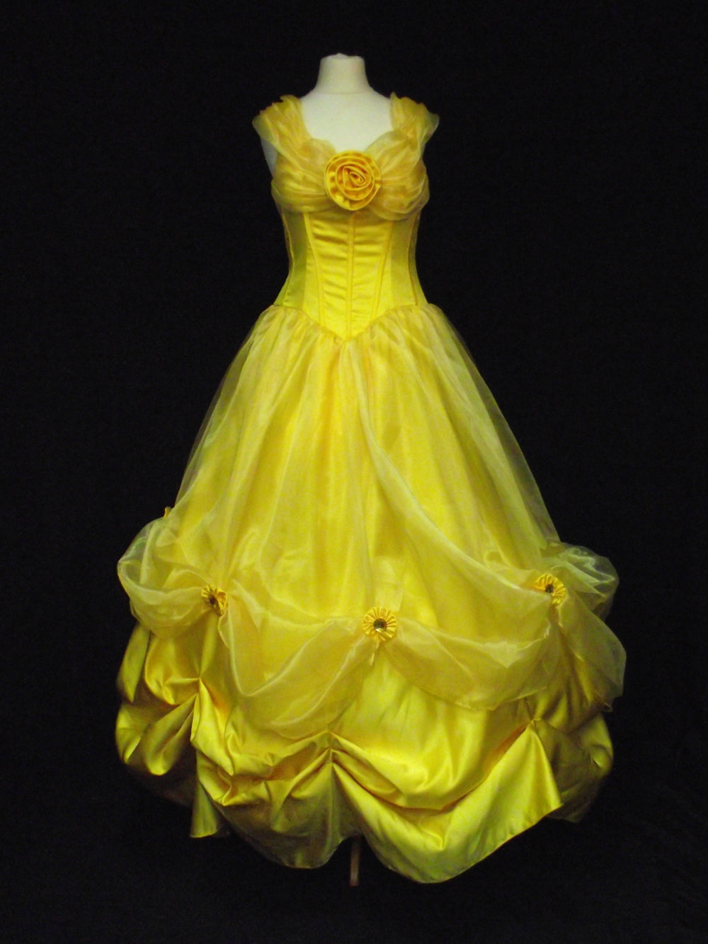Belle Beauty and the Beast costume