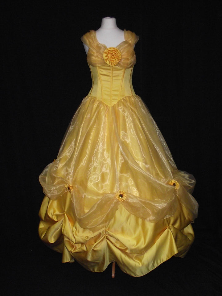 Belle Beauty and the Beast costume