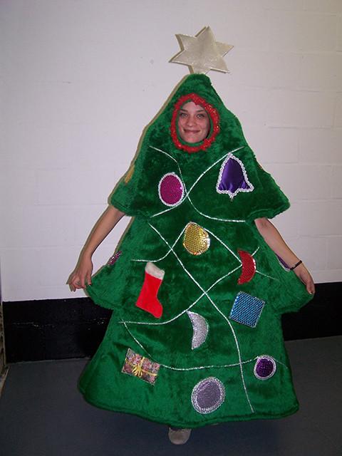 Full Christmas Tree Costume (£60 HIRE ONLY)
