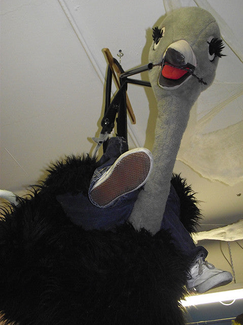 GREY-OSTRICH-RIDE-COSTUME-3218.jpg