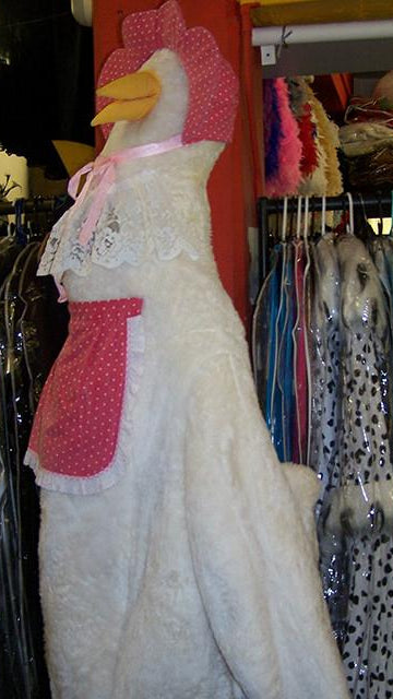 Mother goose costume (£60 HIRE ONLY)