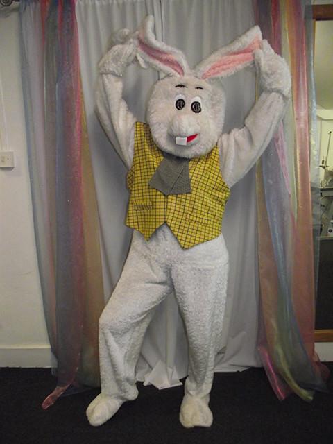 mr rabbit (HIRE ONLY)