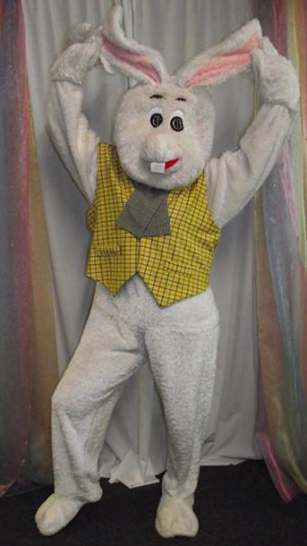 Mr Rabbit (£60.00 HIRE ONLY)