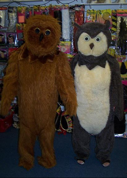 Owl couple (£60 HIRE ONLY)
