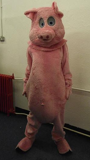 Pink Pig (£60 HIRE ONLY)