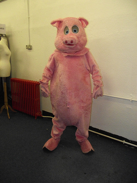 Pink Pig (HIRE ONLY)