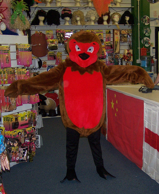 ROBIN-RED-BREAST-COSTUME-3235.jpg