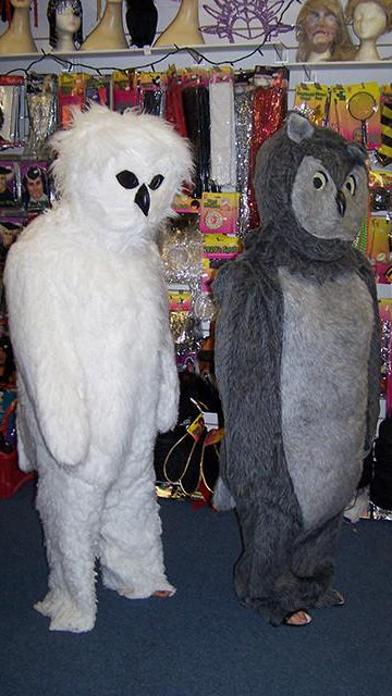 Snowy owl and grey owl mascot costumes (£60 HIRE ONLY)