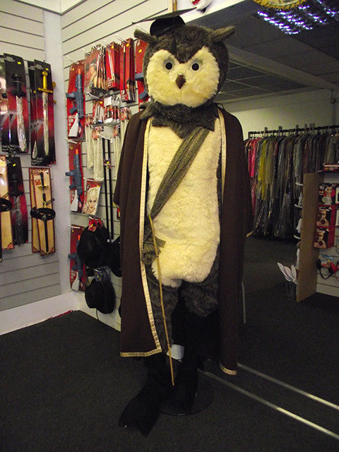 WISE-OWL-TEACHER-COSTUME-3258.jpg