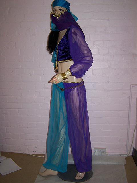 arabian belly dancers costume and veil (HIRE ONLY)